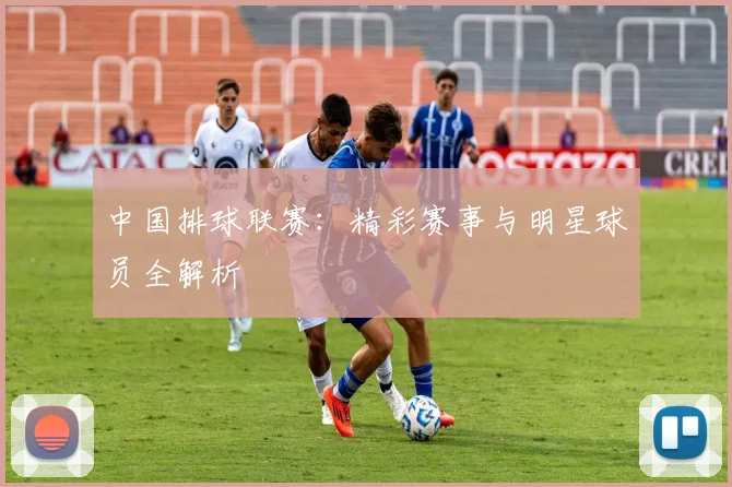 中国排球联赛:精彩赛事与明星球员全解析