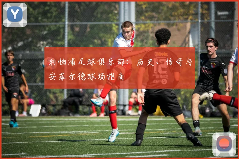 利物浦足球俱乐部：历史、传奇与安菲尔德球场指南