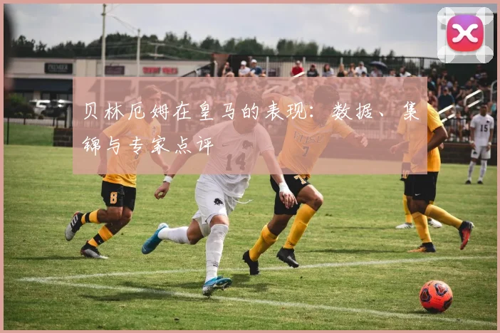 贝林厄姆在皇马的表现：数据、集锦与专家点评