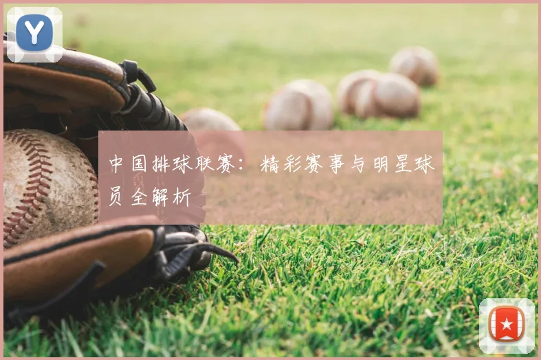 中国排球联赛：精彩赛事与明星球员全解析